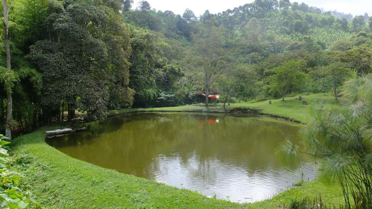 Sonarte Reserva Natural Cordoba  Exteriör bild