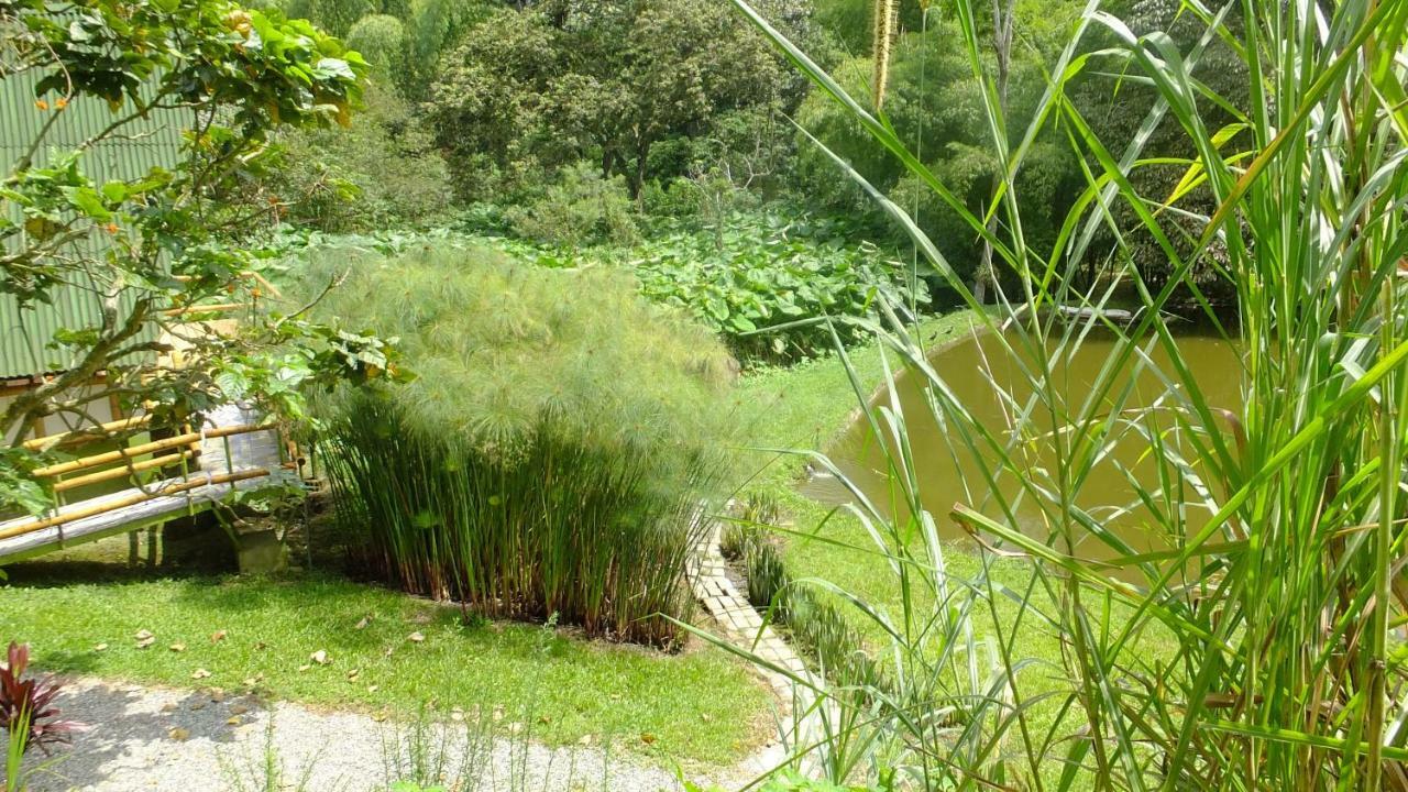 Sonarte Reserva Natural Cordoba  Exteriör bild